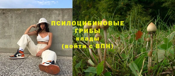 метадон Пересвет