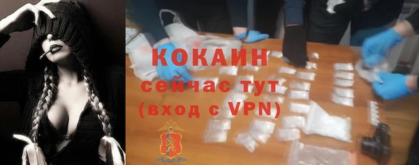 твердый Пестово