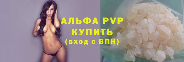 прущие грибы Осинники