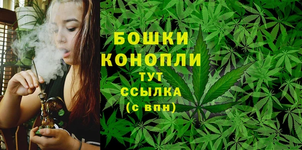 твердый Пестово