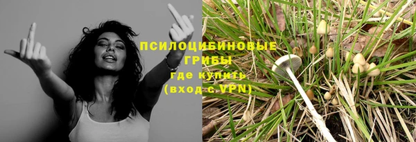спиды Переславль-Залесский