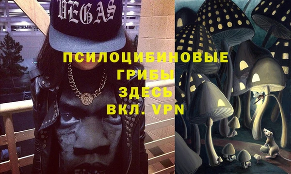 твердый Пестово