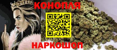 крисы Бийск