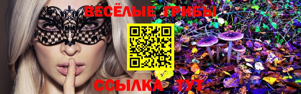 Галлюциногенные грибы GOLDEN TEACHER Белгород