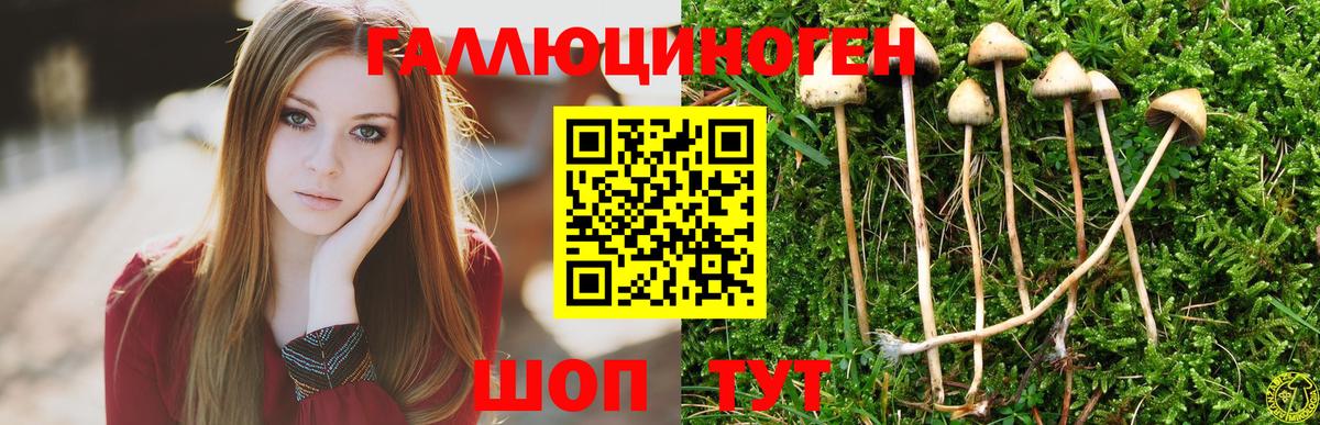 Белгород  Галлюциногенные грибы ЛСД  Вход с VPN  Галлюциногенные грибы Magic Shrooms 