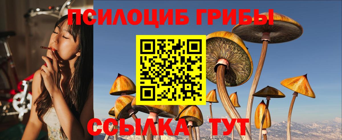Псилоцибиновые грибы MAGIC MUSHROOMS  Белгород 