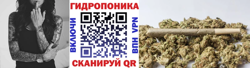 МАРИХУАНА семена  Белгород 